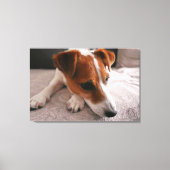 Toile Jack Russel Terier (Recto)
