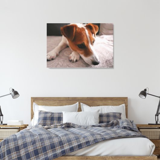 Toile Jack Russel Terier (Insitu(Chambre))