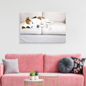 Toile Jack Russell Terrier (Insitu(Salon))