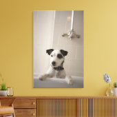 Toile Jack russell terrier. (Insitu(Salon))