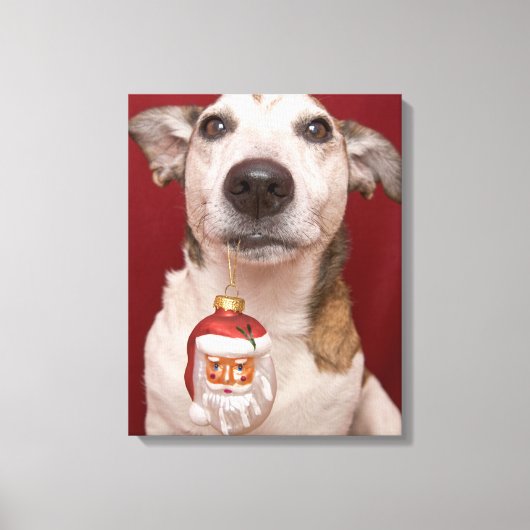 Toile Jack Russell Terrier Holding Ornament de Noël (Recto)