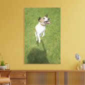 Toile Jack russell terrier saut, vue surélevée (Insitu(Salon))