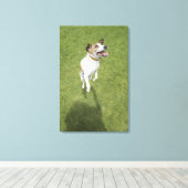Toile Jack russell terrier saut, vue surélevée (Insitu (Plancher de Bois))