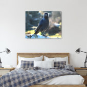 Toile Jackdaw (Insitu(Chambre))