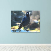 Toile Jackdaw (Insitu (Plancher de Bois))