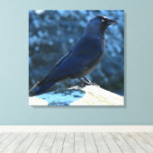 Toile Jackdaw (Insitu (Plancher de Bois))