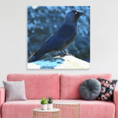 Toile Jackdaw (Insitu(Salon))