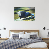 Toile Jackdaw mangeant (Insitu(Chambre))
