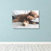 Toile J'adore Caniche Naps (Insitu (Plancher de Bois))