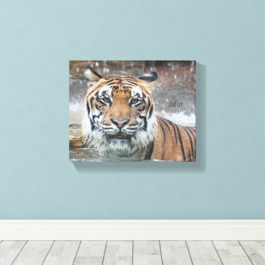 Toile Jafar (Insitu (Plancher de Bois))