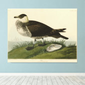 Toile Jager (Pomarine Jaeger) Audubon's Birds of America (Insitu (Plancher de Bois))