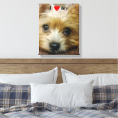 Toile J'aime mon Chorkie (Insitu(Chambre))