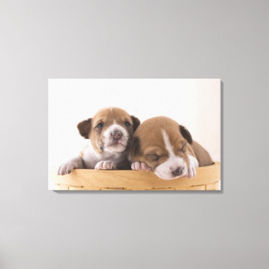 Toile Japon 5 (Recto)