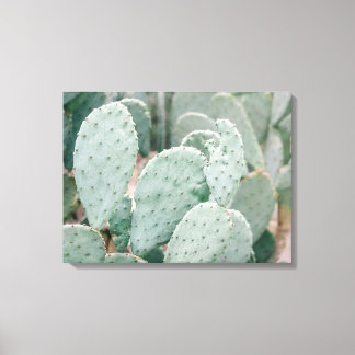 Toile Jardin botanique Cactus