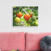 Toile Jardin Cherry Tomates Nature (Insitu(Salon))