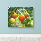Toile Jardin Cherry Tomates Nature (Insitu (Plancher de Bois))