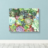Toile Jardin coloré Succulent (Insitu (Plancher de Bois))
