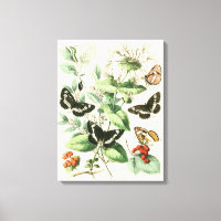 Jardin des papillons et des fleurs