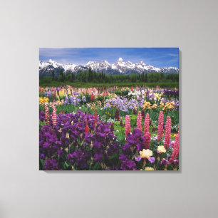Toile Jardin d'Iris et de Lupins et chaîne Teton,