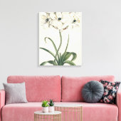 Toile Jardin d'ivoire (Insitu(Salon))
