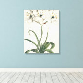 Toile Jardin d'ivoire (Insitu (Plancher de Bois))
