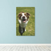 Toile Jardins botaniques, Sydney, Nouvelle-Galles du Sud (Insitu (Plancher de Bois))