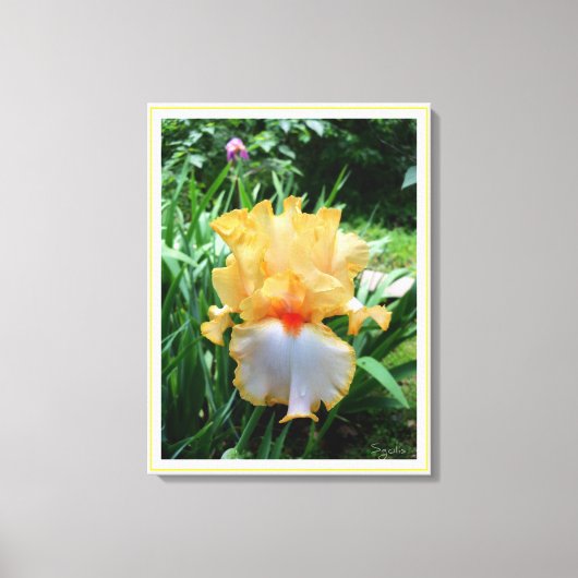 Toile Jaune Fleur de Jardin Iris Imprimer (Recto)