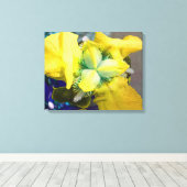 Toile jaune Iris (Insitu (Plancher de Bois))