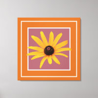 Jaune Noir-Eyed Susan Coca moderne Rose Brown