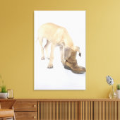 Toile jeu, amical, curiosité (Insitu(Salon))