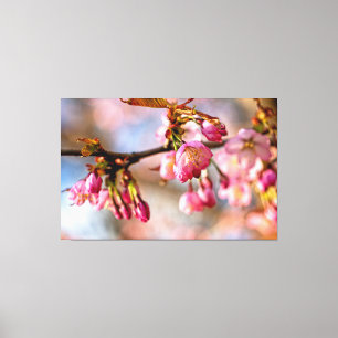 Toile Jeu de lumière et d'ombre sur les pétales de fleur