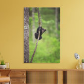 Toile Jeu d'oursons noirs, Tennessee (Insitu(Salon))