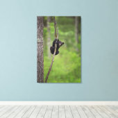 Toile Jeu d'oursons noirs, Tennessee (Insitu (Plancher de Bois))