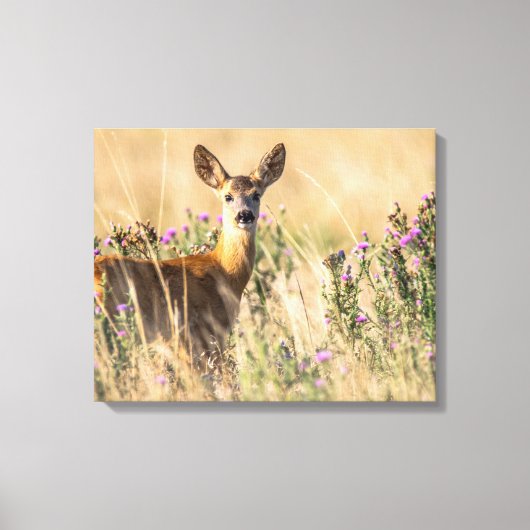 Toile Jeune cerf de chevreuil dans le pré (Recto)
