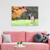 Toile Jeune Cerf en Automne (Insitu(Salon))