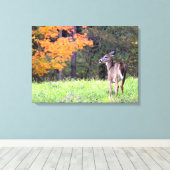 Toile Jeune Cerf en Automne (Insitu (Plancher de Bois))