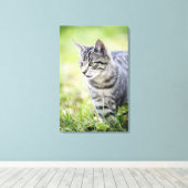 Toile Jeune chat dans la nature (Insitu (Plancher de Bois))