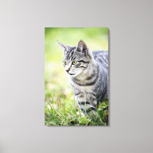 Toile Jeune chat dans la nature (Recto)