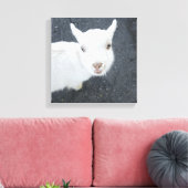 Toile Jeune chèvre (Insitu(Salon))