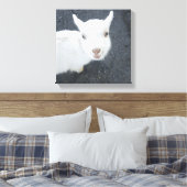 Toile Jeune chèvre (Insitu(Chambre))