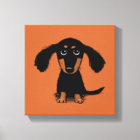 Jeune Dachshund à Poil Long