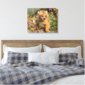 Toile Jeune Lynx du Canada, Alaska (Insitu(Chambre))