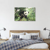 Toile Jeune panda géant grimpe à un arbre, vallée de Wol (Insitu(Chambre))