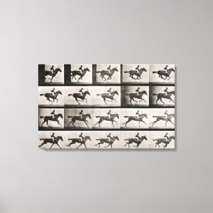 Toile Jockey sur un cheval galopant, plaque 627 de 'Anim