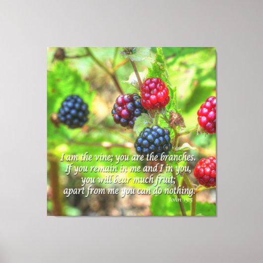 Toile John 15:5 (Recto)