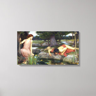 Toile John William Waterhouse Echo et Narcissus