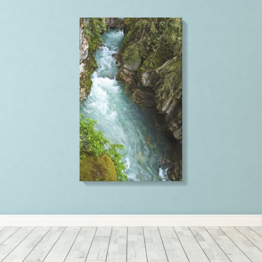 Toile Johnston Canyon (Insitu (Plancher de Bois))