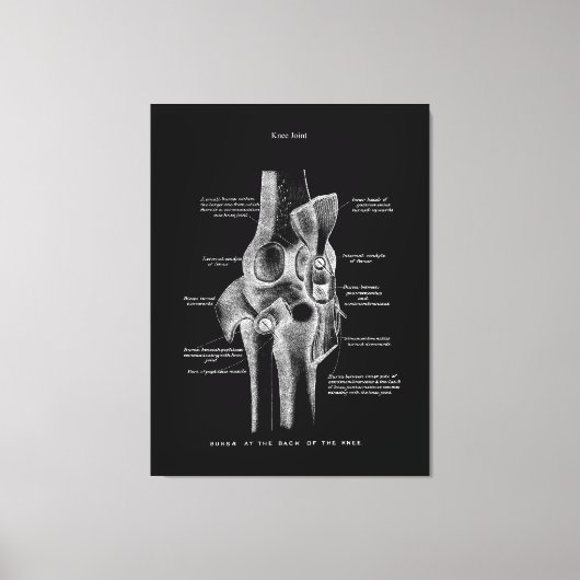 Toile Joints genou Anatomie Art (Recto)