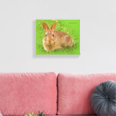 Toile Joli Bunny Nibbling Fairway Greens (Insitu(Salon))