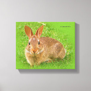 Toile Joli Bunny Nibbling Fairway Greens
